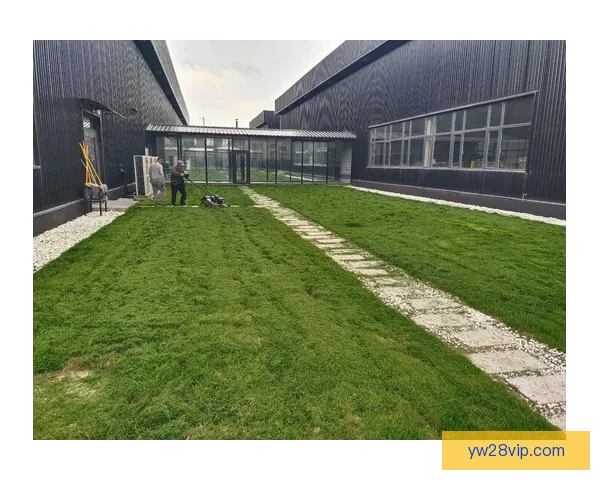 深圳市体育中心草坪养护管理存在问题及改进对策研究